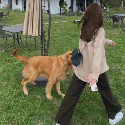日落湄南河